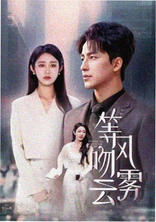 免费看电视剧雾港迷踪海报